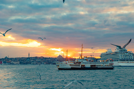 Visit Istanbul concept photo. Ferry and cruise ship with seagulls at sunset. Istanbul Turkiye - 1.22.2024のeditorial素材