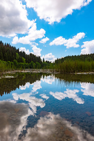 Reflection of the partly cloudy sky on the lake in a lush forest. Karagol Lake in Artvin Turkey.