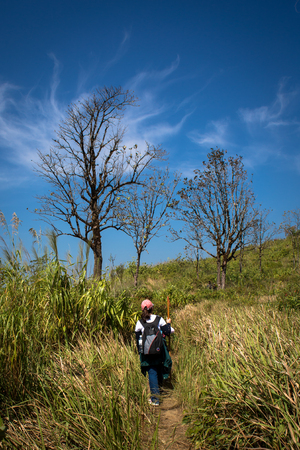 A long trail to Khao Chang Pheuag Mt  under blue sky の写真素材