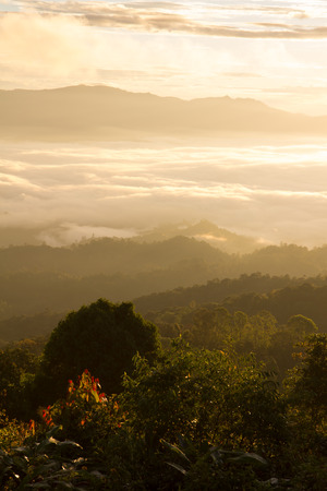 Brighten sunrise above the cloudの写真素材