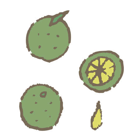 Fruit juice barrel sudachiのイラスト素材