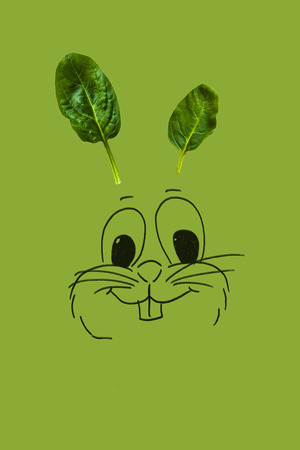 Funny easter bunn made of green spinach leaves as a ears, isolated on green backgroundの写真素材