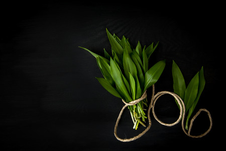 Bunch of fresh ramson on black wooden textured background.の写真素材