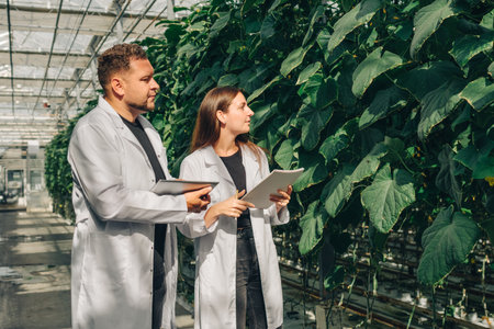 A diverse team of researchers is collaborating in a greenhouse, focusing on advanced vegetable science and data analysis to enhance agricultural practices for greater efficiency and sustainabilityの写真素材