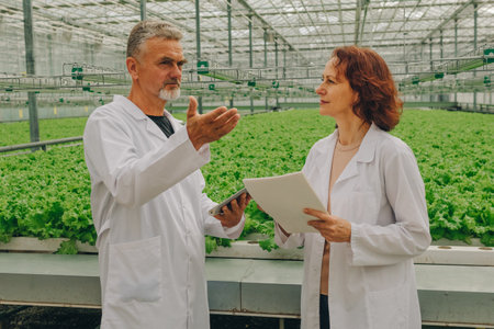 Scientists in the greenhouse collect data on growing lettuce and vegetable plants. Breeding new varieties, the effect of fertilizers on the quality and usefulness of vegetables grown hydroponicsの写真素材