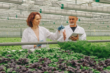Growing basil, dill, lettuce in greenhouse. Laboratory workers, two scientists from healthy eating research center. Man and woman in white coats, take samples of aqueous nutrient solution in test tubeの写真素材