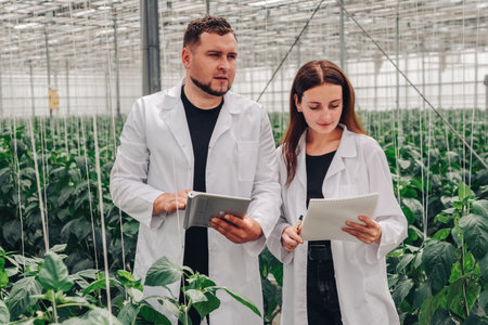 Researchers collect data from growing peppers for irrigation. Growing organic vegetables in greenhouse. Researchers in greenhouse check leaves of growing red peppers for diseases. Plant experiment.の写真素材