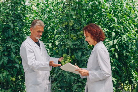 Inspection under foliage, Field checks with signature exchanges, Reviewers share harvest data amidst thick leaves, Auditors exchange reports and signatures within lush green surroundingsの写真素材