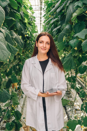 Female monitoring crops, Woman examines and documents plant measurements in greenhouse environment,...