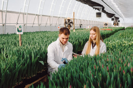Greenhouse researcher reviewing tulip data, Agronomist analyzing plant growth in controlled...