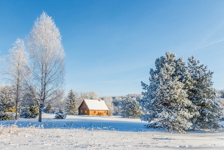 Landscape near Zdrawneva  The municipality of Ruba  Belarus  2013 のeditorial素材