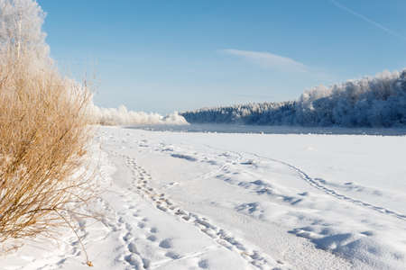 Dvina rver under ice  Not frozen sites of the river are in the distance noticeable  Over these sites steam rises  Landscape near Zdrawneva  The municipality of Ruba  Belarus  2013 の写真素材