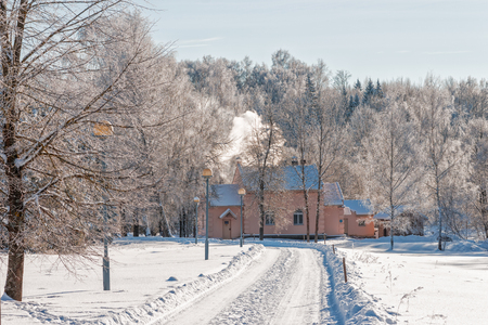A manor house and estate of painter Repin  Zdrawneva  The municipality of Ruba  Belarus のeditorial素材