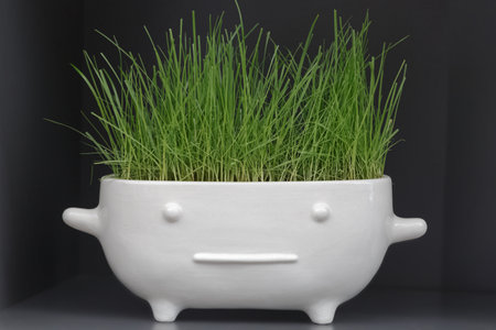 The flower pot in the shape of human body on black background.