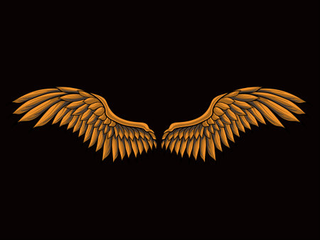 bird wings vector design for elements, color editableのイラスト素材