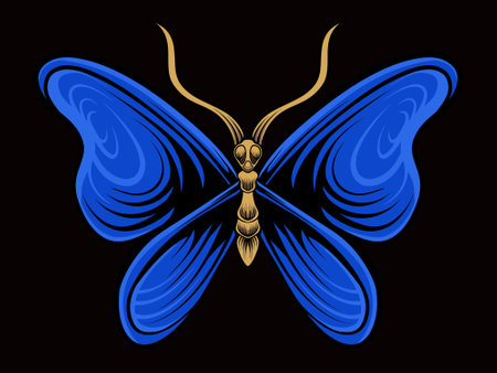 beautiful butterfly vector design for elements, color editableのイラスト素材