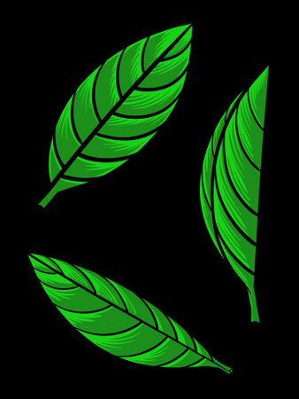 Set of green leaves isolated on black background. Vector illustration. Eps 10.のイラスト素材