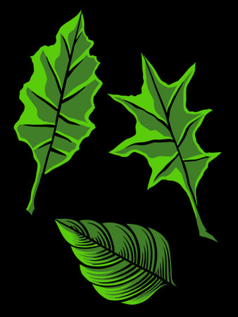 Set of green leaves isolated on black background. Vector illustration. Eps 10.のイラスト素材