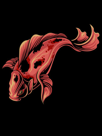 Koi fish isolated on black background. Vector illustration for your designのイラスト素材