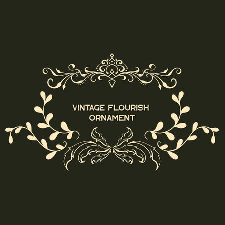 Baroque engraved. Victorian floral ornamental borders, luxury vintage decorative frame elements. Vector illustration royal set for wedding invitation and greeting cards, ornaments romantic invitationsのイラスト素材