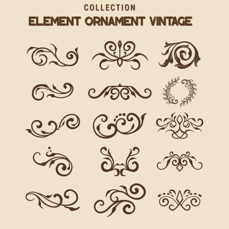 Baroque engraved. Victorian floral ornamental borders, luxury vintage decorative frame elements. Vector illustration royal set for wedding invitation and greeting cards, ornaments romantic invitationsのイラスト素材