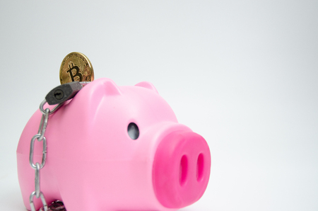 Piggy Bank Pink and cyber coins and banknotes on white.Save and make a better lifestyleâ concept.Do not focus on objects.の写真素材