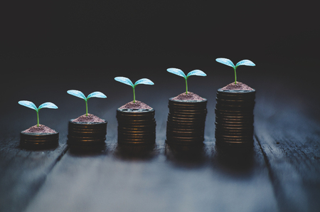 5 rows of coins arranged in ascending orderの写真素材