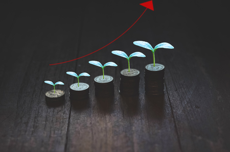 5 rows of coins arranged in ascending order.Seedlings on coins.の写真素材