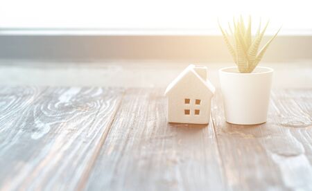 White house and small grass Put on the table in the morning room.Financial concepts and real estate.Do not focus on the object.の写真素材