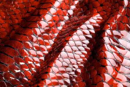  Red snake skin, texture.の写真素材