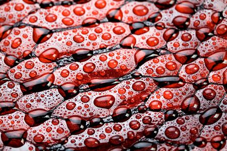 Red snake skin, texture. Aqua, water drop, tear on skin.の写真素材