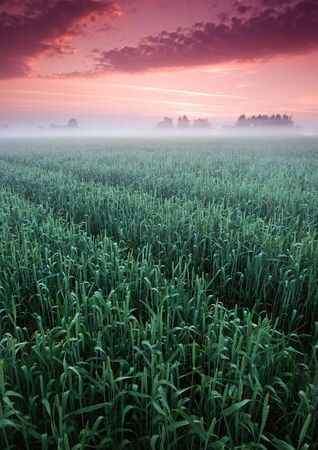 Beatiful and calm sunrise. Colourful landscape.の写真素材