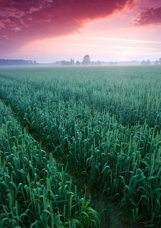 Beatiful and calm sunrise. Colourful landscape.の写真素材