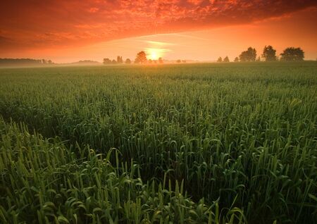 Beatiful and calm sunrise. Colourful landscape.の写真素材