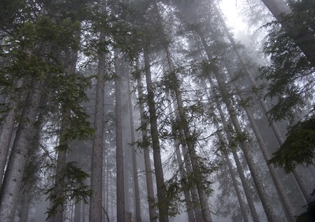 Frozen Winter in Alpsの写真素材