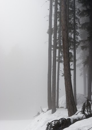 Frozen Winter in Alpsの写真素材