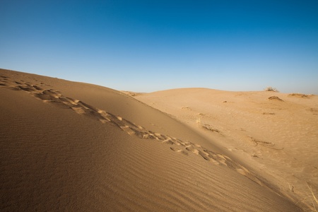 desertの写真素材