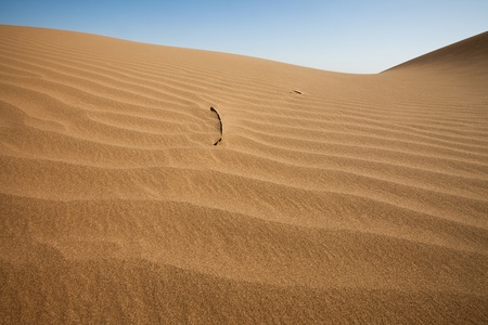 desertの写真素材