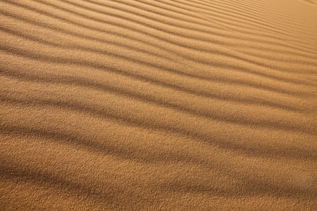 desertの写真素材