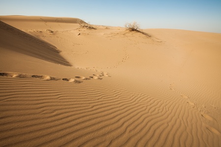 desertの写真素材