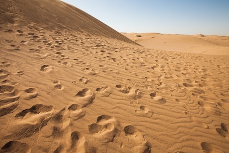 desert