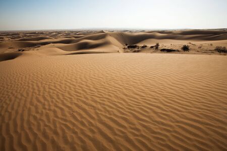 desertの写真素材