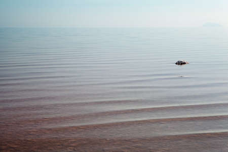 Salt lakeの写真素材