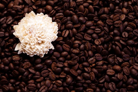 Aroma coffeeの写真素材