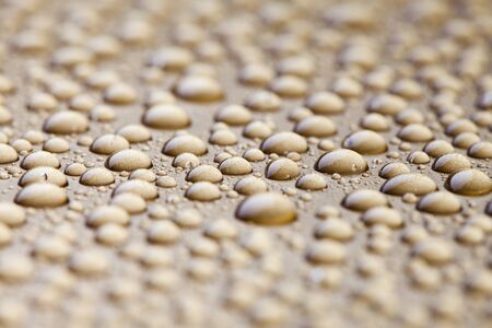 Water dropsの写真素材