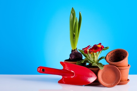 Gardeningの写真素材