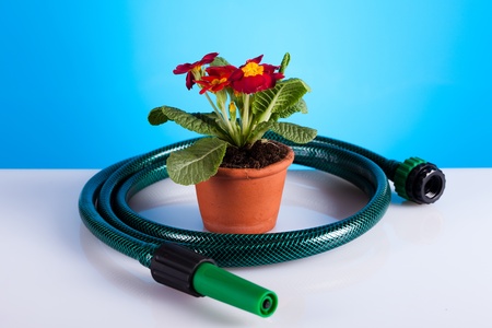 Gardeningの写真素材