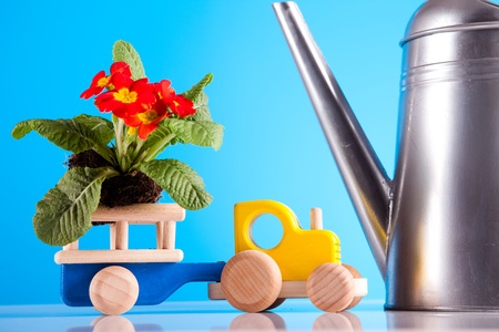 Gardeningの写真素材