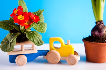 Gardeningの写真素材