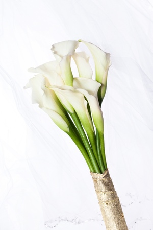 Bridal bouquetの写真素材